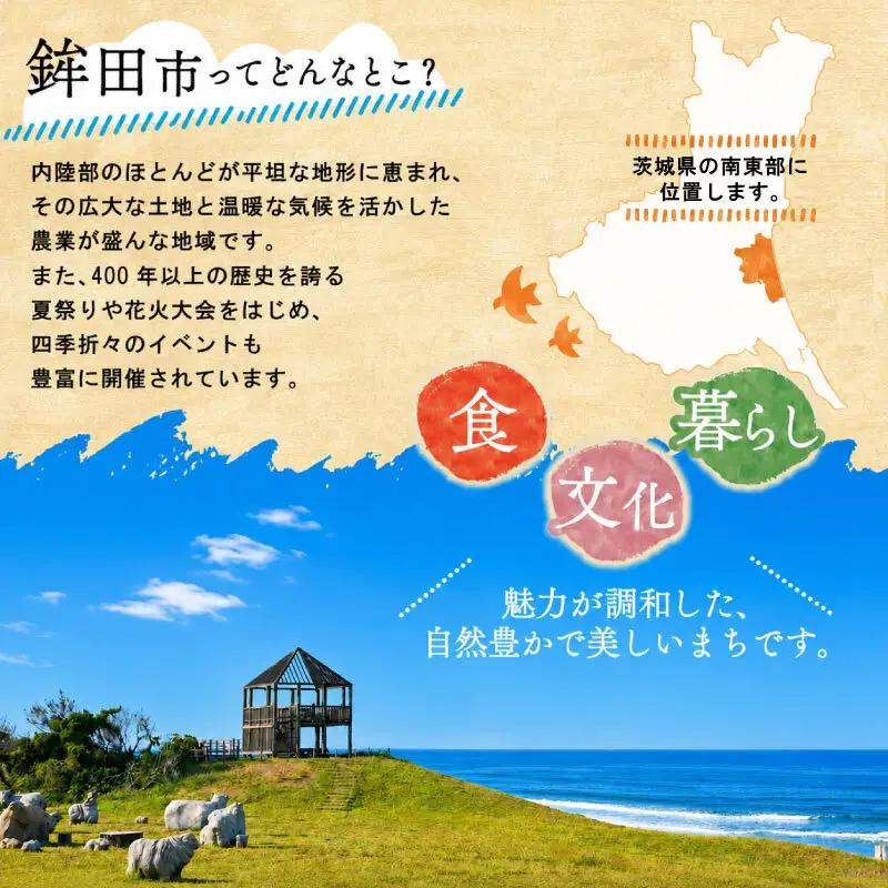 米 ふくまる 10kg 精米 白米 米 新米 令和8年産 ご飯 こめ ごはん 茨城産 【厳選】茨城 鉾田 門井米肥店