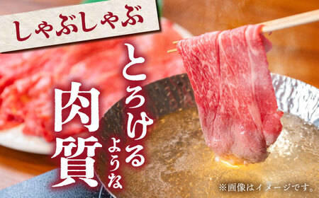 【全国有数のブランド牛】佐賀牛 スライス盛り合わせ A 計1kg 【がばいフーズ】サーロイン 赤身[HCS113]