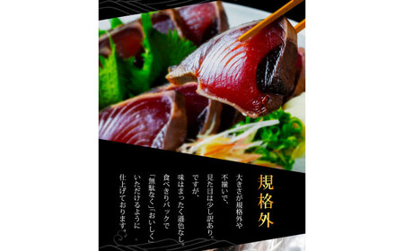 【6回定期便】規格外カツオたたき 約600g＋真鯛漬け丼の素 約80g×5パック 【興洋フリーズ株式会社】[ATBX120]