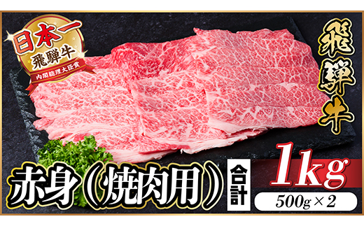 飛騨牛 厳選赤身(焼肉・BBQ用) 1kg(500g×2) 　黒毛和牛 小分け A4～A5等級【配送不可地域：離島】
