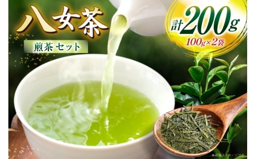 お茶 八女茶 煎茶 セット 100g 2袋 [木村食品 福岡県 筑紫野市 21761043] 茶葉 やめちゃ お茶の葉