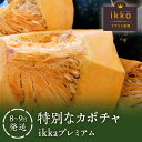 【ふるさと納税】特別なカボチャ ikkaプレミアム【8月-9月発送】　【 野菜 南瓜 甘い ホクホク 】　お届け：2024年8月下旬～9月下旬