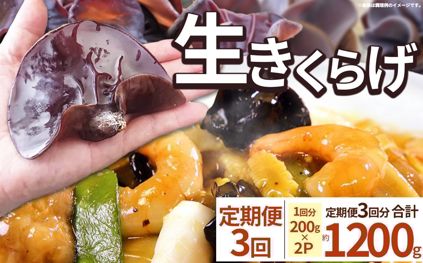 
            【期間限定】【定期便3回】生きくらげ 200g×2P ともちゃん農園 |定期便 きくらげ 生きくらげ 食物繊維 鉄分 カルシウム ビタミンD カリウム アミノ酸 低カロリー ダイエット中でも安心 高血圧予防 ふるさと 納税 栃木県 那珂川町 送料無料
          