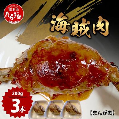 ふるさと納税 多良木町 村上精肉店 海賊肉 (まんが肉)3本