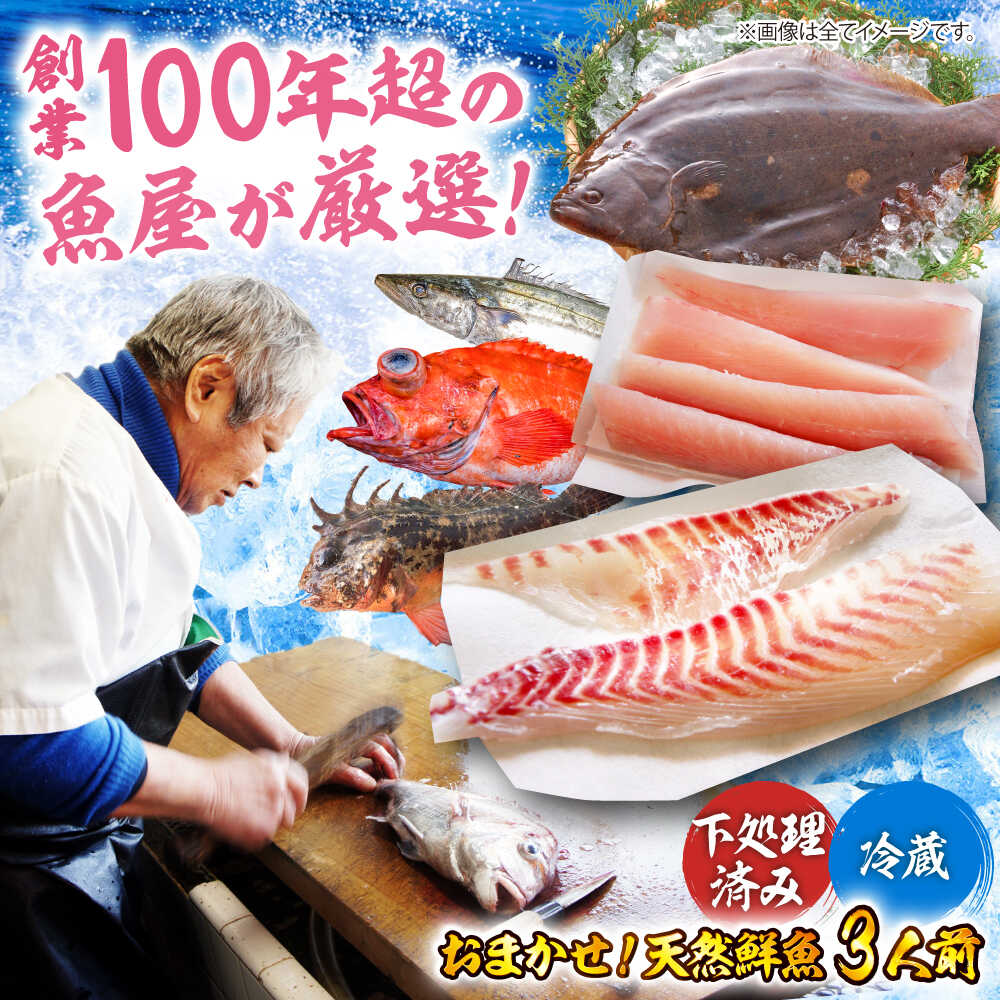 【ふるさと納税】【下処理済み・冷蔵】 おまかせ！天然鮮魚3人前 | 人気 おすすめ ランキング おいしい 魚介 海鮮 天然 鮮魚 海産物 刺身 刺し身 さしみ 大洲市/天然活魚 濱 屋[AGBP008] 50000 50000円 以上