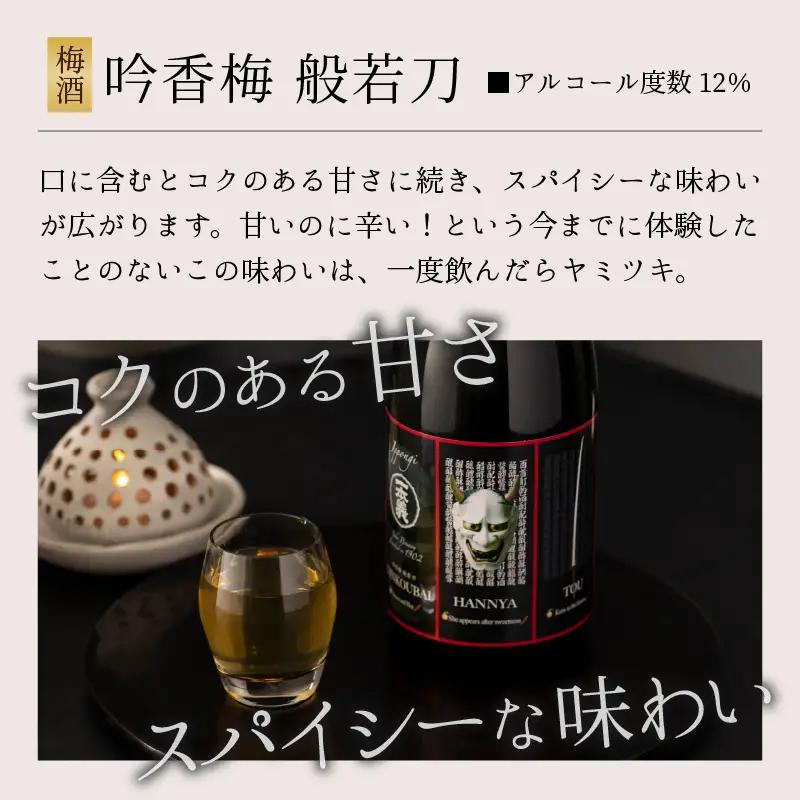 梅酒 一本義 般若刀 スパイシー 720ml×2本 [A-008038]