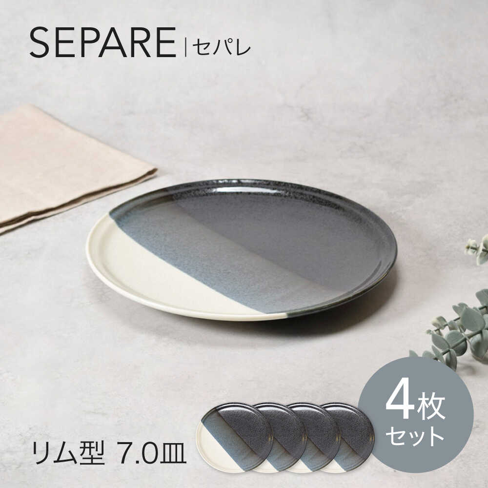 【ふるさと納税】【美濃焼】セパレ リム型 7.0皿 4点セット【カネ定製陶】プレート 皿 モダン[MEI252]