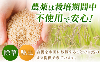 合鴨玄米 5kg 【株式会社パストラル】 [ZAR028]