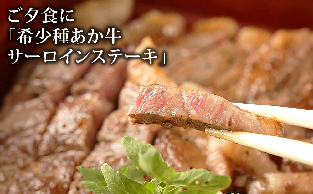 【土日祝限定】阿蘇 親和苑 ミシュランガイド掲載旅館 特別室「紬」 高級和食会席付き 1泊2食付き ペア宿泊券 熊本県 阿蘇市 【土日祝限定】プラン