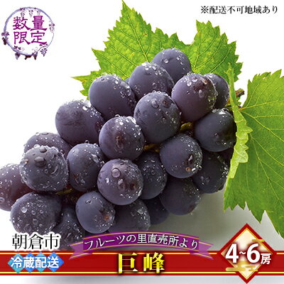 【ふるさと納税】フルーツの里の直売所より 巨峰【配送不可：離島】 果物類 ぶどう 　お届け：2025年8月20日～9月10日