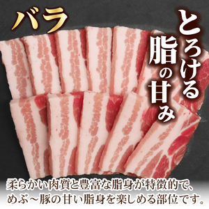 【地元ブランド豚】めぶ～豚 豚バラ・肩ロース 焼肉 計1.5kg（豚肉 豚 お肉 バラ ロース 焼肉用 BBQ 小分け 限定）