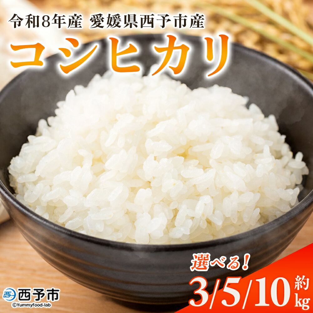 【ふるさと納税】新米＜令和8年産 コシヒカリ 3kg・5kg・10kg＞国産 愛媛県産 宇和町産 宇和米 こしひかり お米 米 コメ こめ 白米 精米 ご飯 新鮮 3キロ 5キロ 10キロ 選べる 特産品 大塚農園 愛媛県 西予市【常温】『2026年10月・11月頃から順次発送予定』