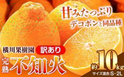 【ふるさと納税】【先行予約】完熟 不知火 ( デコポン )と同品種 約10kg S～2L 家庭用 サイズ混合 横川果樹園 《2026年3月中旬-4月末頃出荷》 和歌山県 日高川町 不知火 みかん 果物 柑橘 フルーツ 送料無料 