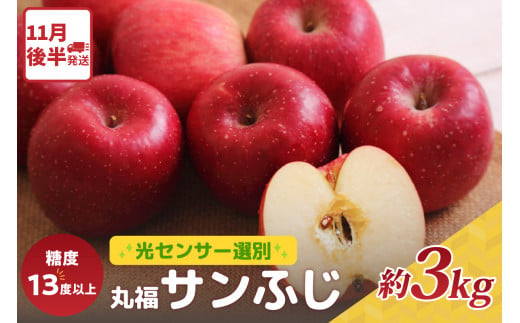 りんご　サンふじ約3kg丸福 光センサー選果 糖度13度以上 青森産りんご 【2024年11月後半発送】 11月 12月 1月 2月 3月 配送 リンゴ 五所川原りんご