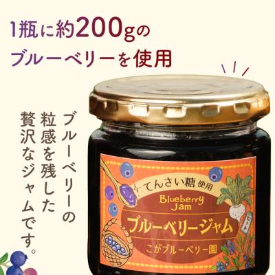 ふるさと納税 古賀市 ブルーベリージャム(2個)&ビネガー(1本)セット |  | 01