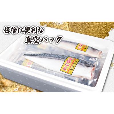 ふるさと納税 銚子市 適塩さば(真空)　6枚入 |  | 01