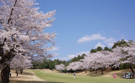 【価格改定予定】ゴルフ プレー ゴルフ場 招待券 沼津ゴルフクラブ 2名様 平日 セルフプレー