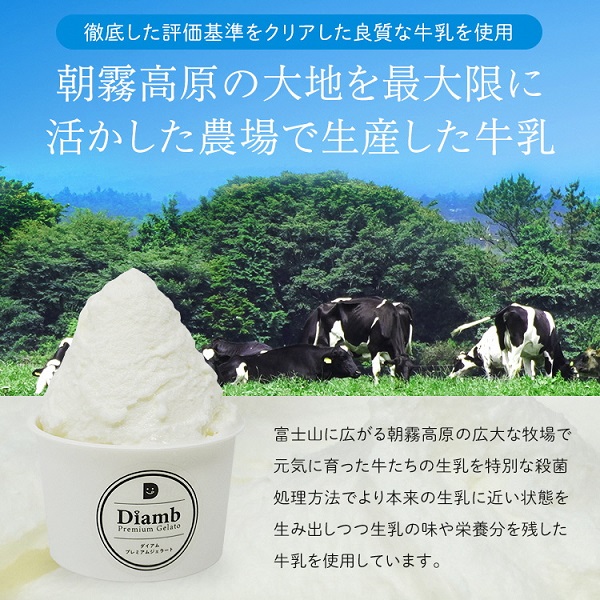 0012-95-04 Diamb Premium Gelato (ダイアムプレミアムジェラート) 100ml×6個 【フレーバー3種：ミルク・チョコ・キャラメル】