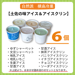高知 名物 アイスクリン ふるさとの味アイス 6個セット ( ゆず 文旦 甘酒 ミルク いちごミルク 生姜 バニラ 抹茶 いちご チョコ ソーダ 人気 カップ スイーツ バラエティ おやつ 詰め合わせ