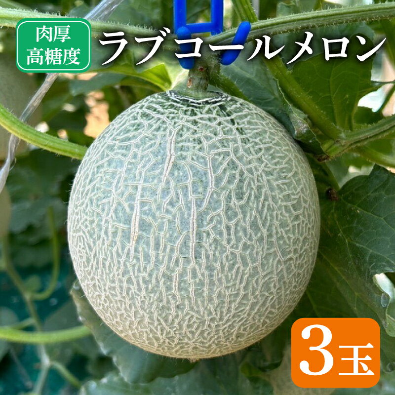 【ふるさと納税】 先行予約 ラブコールメロン 3玉 メロン 果物 フルーツ 糖度 甘い 贈答 プレゼント ギフト ゼリー ジュース ケーキ シャーベット アイス デザート スイーツ 送料無料 千葉県 銚子市 はぎわらファーム 発送時期 2025年7月〜(なくなり次第終了)