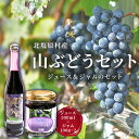 【ふるさと納税】北塩原村産「山ぶどう」セット(山ぶどうジュース500ml 1本・山ぶどうジャム100g×2) 【 ふるさと納税 人気 おすすめ ランキング ブドウジュース 果汁100% ジャム 低糖 果物 山ぶどう 山葡萄 ぶどう ブドウ 葡萄 福島県 北塩原村 送料無料 】 KBN003