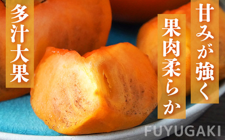 富有柿 7.0kg箱　大玉サイズ（22個～24個） ※着日指定不可 ※2025年11月上旬頃～12月上旬頃に順次発送予定 | フルーツ くだもの 果物 柿 かき カキ 富有柿 奈良県 五條市