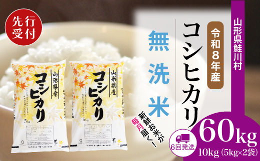 ＜令和8年産米先行受付＞ 山形県産 こしひかり 【無洗米】60kg定期便(10kg×6回)　配送時期指定できます！ 令和8年11月上旬より順次配送開始
【※配送時期注意※　令和8年産米予約です】