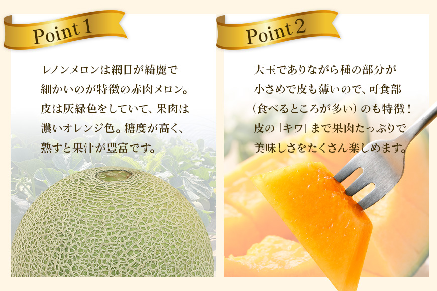 【数量限定・期間限定】おみたまレノンメロン（赤肉）2玉 メロン 秀品 茨城県産 めろん 52-D