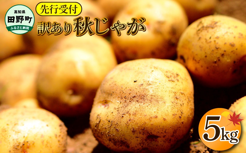 
            【四国一小さなまちのじゃがいも】★令和7年11月中旬発送開始★ 大野台地で採れた『 令和6年産 秋じゃが 』 5kg　～ 訳あり ～
          
