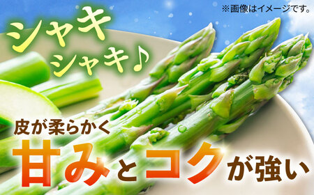 野菜 アスパラガス 壱岐産 1kg（L~2Lサイズ）《壱岐市》【壱岐市農業協同組合】[JBO004] アスパラ 13000 13000円