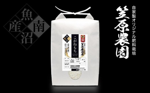 
                  【令和７年産】南魚沼産 笠原農園米 こがねもち（もち米） 5kg 【銘柄米 ブランド米 精米 こがねもち 魚沼産 南魚沼産 プレミアム 新潟米 新潟県産 高評価 高品質 高級 国産米 産直 ご飯 御飯 ごはん 厳選】
                