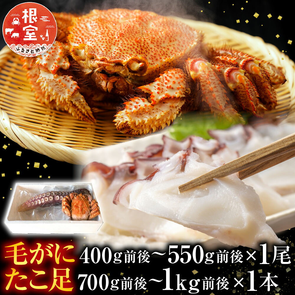 【ふるさと納税】 毛かに 400g 前後 ~ 550g 前後 × 1 尾、たこ足 700g 前後 ~ 1kg 前後 × 1本 蛸 タコ 毛がに 毛蟹 けがに ケガニ かに カニ 蟹 グルメ 海鮮 蛸足 たこ足 タコあし 蛸あし たこあし 北海道 根室市 C-36045