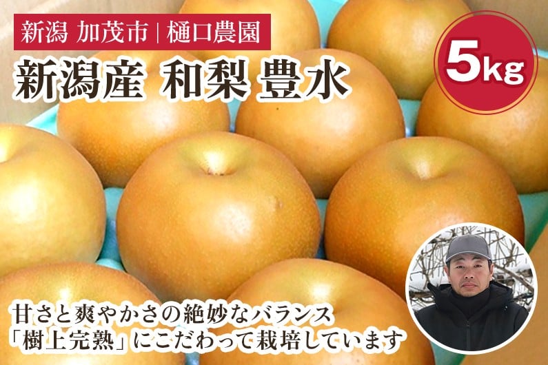 
            【2026年先行予約】和梨 豊水 5kg（9～14玉）《9月上旬～順次出荷》果物 なし ほうすい 梨 フルーツ 新鮮 ジューシー 産地 加茂市 樋口農園
          