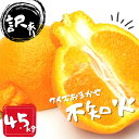 【ふるさと納税】 訳あり 不知火 石本農園の 不知火 4.5kg M~4L サイズおまかせ 【2025年2月上旬から3月上旬までに順次発送】 デコポン みかん ミカン 蜜柑 柑橘 果物 くだもの フルーツ わけあり 訳あり 家庭用 予約 人気 ジューシー 甘い 産地直送 送料無料