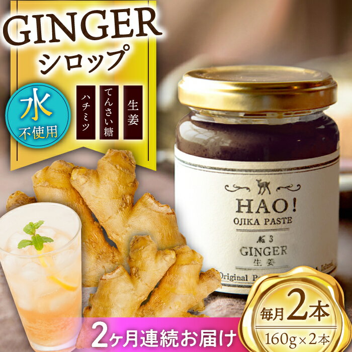 【ふるさと納税】【全2回定期便】 ジンジャーシロップ 2本 （160g/本) [DAA028] ジンジャーエール 国産 ジンジャー 生姜 シロップ 生姜湯 常温 生姜