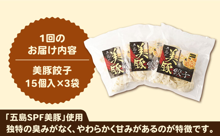 【全3回定期便】美豚ちゃんと餃子のバラエティセット（3種×3袋 計9袋詰合せ）【長崎フードサービス】 [PEL031]