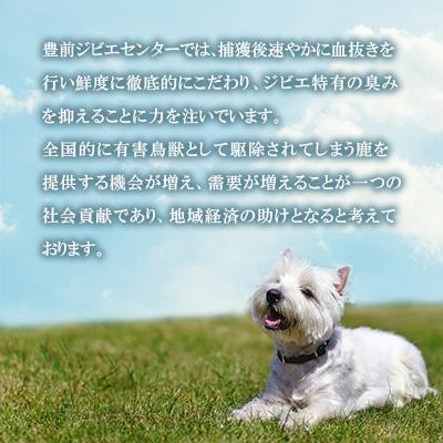 ふるさと納税 豊前市 福岡県豊前市　犬用シカ肉【角切り】40g×12個 |  | 03