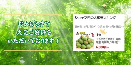 青梅 厳選 南高梅 2kg+250g（痛み補償分） / 梅 梅ジュース 梅酒 梅干し 高級 和歌山 ※5月~6月発送予定 ※北海道・沖縄・離島への配送不可 【ikd508-p-2G】