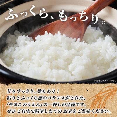 ふるさと納税 西予市 【先行予約】<ちほみのり 玄米 10kg > げんまい 米 こめ コメ ご飯 穀物 |  | 01