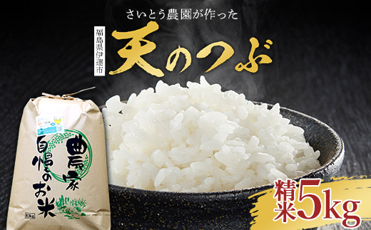 さいとう農園が作った天のつぶ 精米5kg 白米 【先行予約】2025年10月中旬から順次発送 ご飯 ごはん ライス 伊達市  米 お米 コメ 食品 F20C-914