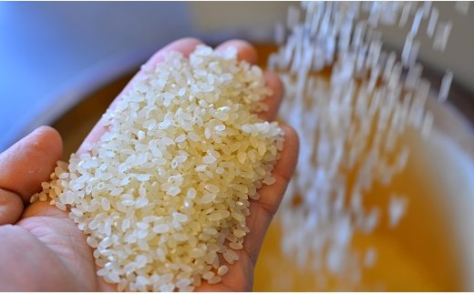 【お米マイスター】ほっ 懐かし米 5kg H056-131