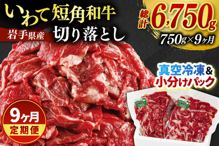 ＼9ヶ月連続 定期便／ 切り落とし 赤身 肉 牛肉 いわて 短角和牛 750g (総計 6,750g) 小分けパック 真空冷凍 | 牛肉 肉 赤身 短角 和牛 国産牛 ブランド牛 切り落し 大容量 牛丼 肉じゃが 煮込み 煮物 小分け 真空パック 数量限定 (AB123)