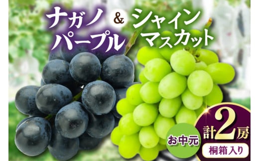 お中元桐箱入りナガノパープル1房・シャインマスカット1房　県内共通返礼品:かすみがうら市産 (BR171)