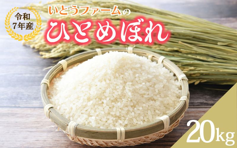 いとうファームの 令和7年産「ひとめぼれ」20kg / 米 お米 精米 白米 ご飯 産地直送 【itofarm029】