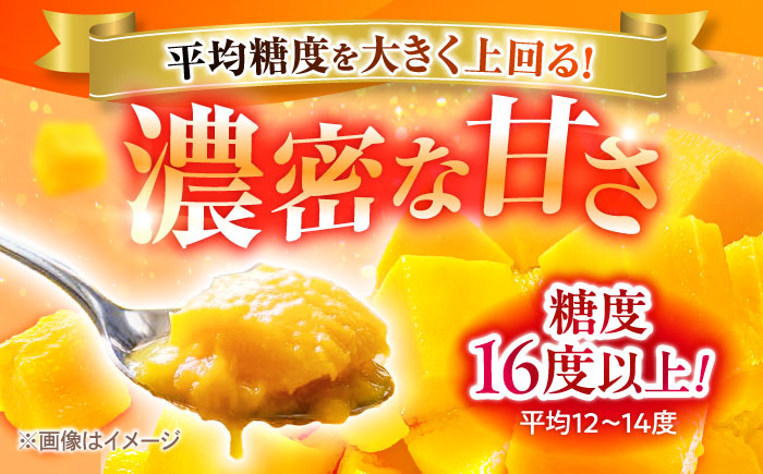 【優良賞受賞】沖縄県産 完熟マンゴー 秀品 1kg (2～3玉) マンゴー 沖縄 果物 フルーツ ギフト 沖縄市 / MAIFARM [BCAN001]