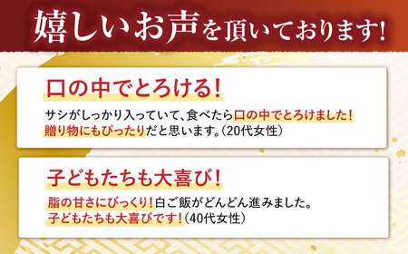 【6回定期便】サーロイン ステーキ 400g（200g×2枚） / サーロインステーキ 長崎和牛 A4～A5ランク 希少部位 / 諫早市 / 野中精肉店[AHCW028]