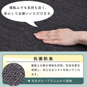 カーペット 江戸間 8畳 防音 抗菌防臭 厚手 ツワブキ 352×352cm ブラック 日本製【1638792】