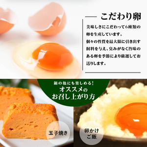 中村農場　八ヶ岳卵40個セット [h024]