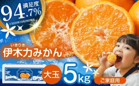 ※【2026年12月上旬より順次発送／先行予約】伊木力みかん(大玉) 5kg / みかん ミカン 蜜柑 柑橘 フルーツ ふるーつ 果物 くだもの / 諫早市 / 山野果樹園 [AHCF007]