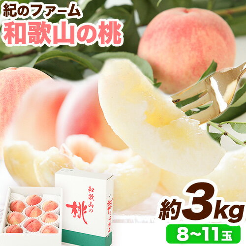 【ふるさと納税】【贈答用/熨斗非対応】和歌山の桃 3kg 紀のファーム 《2025年6月上旬-8月中旬頃出荷》 和歌山県 紀の川市 モモ 桃 もも 果物 くだもの フルーツ 送料無料 化粧箱入